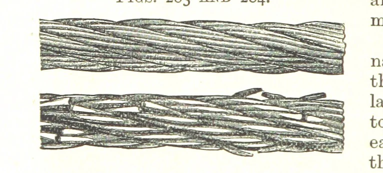 An illustration from A Text-book of Coal-Mining ... With ... illustrations, 1892, leaf 258