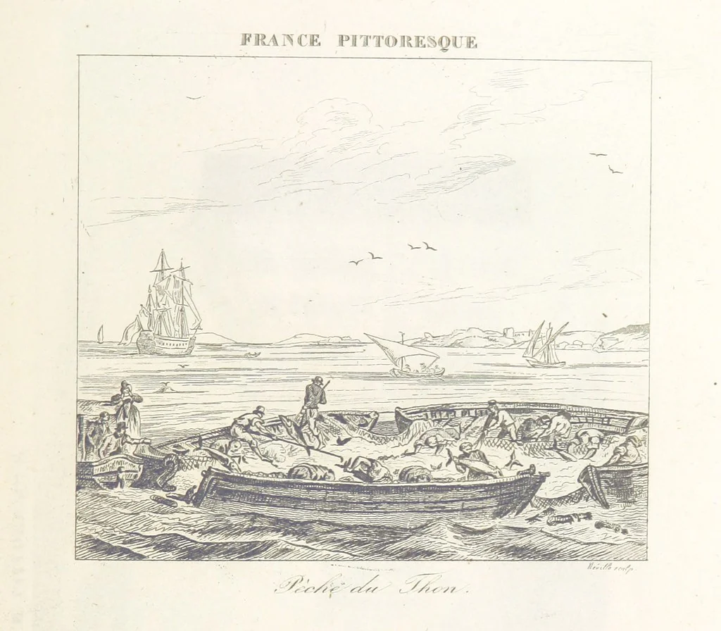 An illustration from France pittoresque, ou description ... des départements et colonies de la France ... pur A. H, 1838, leaf 545