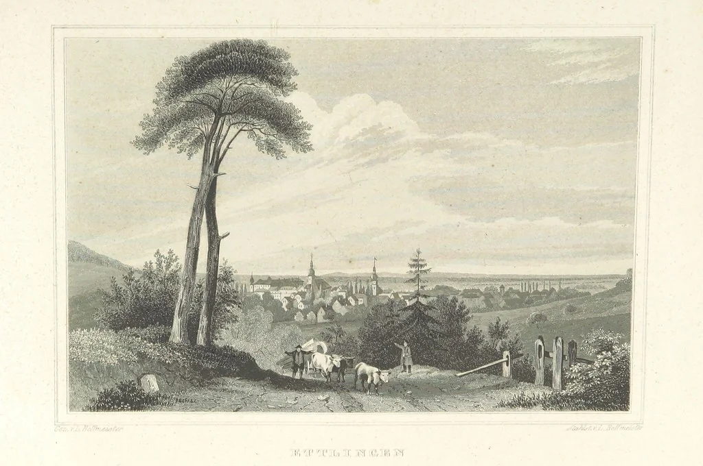 An illustration from Das Grossherzogthum Baden in malerischen Original-Ansichten. In Stahl gest. von J. Poppel und andern Begleitet von einem historischtopographischen Text von Dr. E. H, 1860, leaf 815