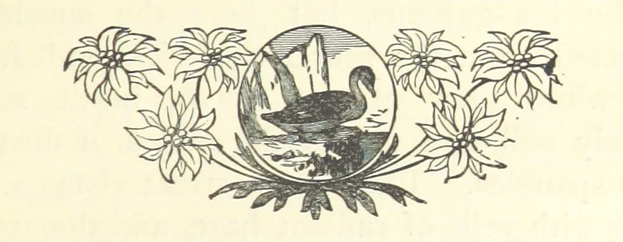 An illustration from Lord Hever. A novel, 1896, leaf 27