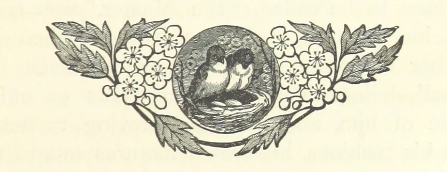 An illustration from Lord Hever. A novel, 1896, leaf 85