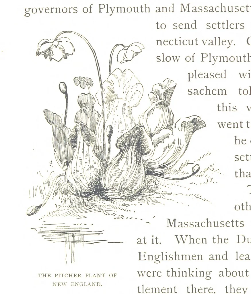 An illustration from How New England was made, etc, 1890, leaf 100