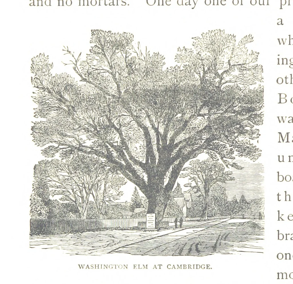 An illustration from How New England was made, etc, 1890, leaf 252