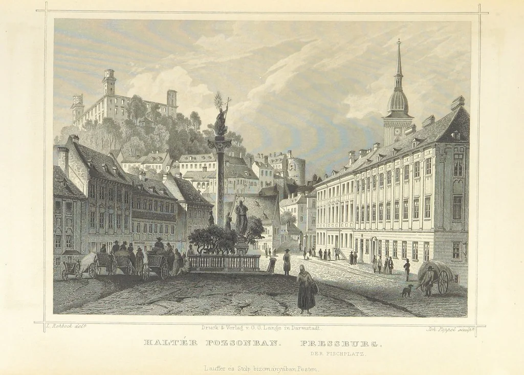 An illustration from Magyarország és Erdély eredeti képekben. Rajzolta Rohbock L., történelmi és helyirati szöveggel, irta H. J, 1860, leaf 133