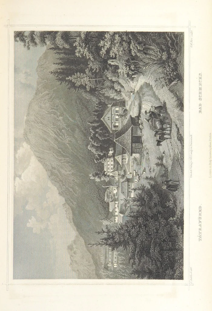 An illustration from Magyarország és Erdély eredeti képekben. Rajzolta Rohbock L., történelmi és helyirati szöveggel, irta H. J, 1860, leaf 463