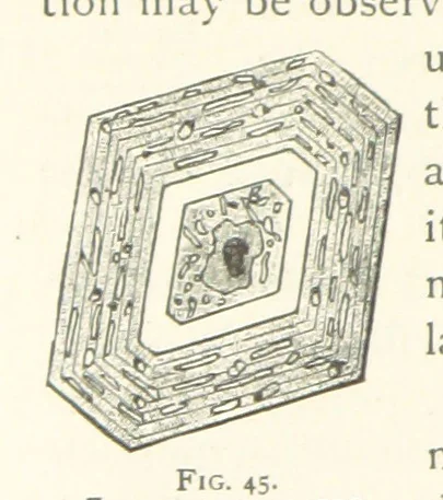 An illustration from The Determination of Rockforming Minerals ... Authorized translation from the first German edition by Erastus G. Smith ... Second edition, 1893, leaf 102