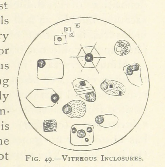An illustration from The Determination of Rockforming Minerals ... Authorized translation from the first German edition by Erastus G. Smith ... Second edition, 1893, leaf 109