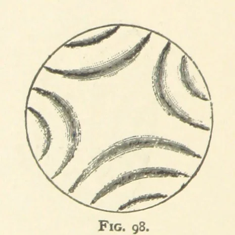 An illustration from The Determination of Rockforming Minerals ... Authorized translation from the first German edition by Erastus G. Smith ... Second edition, 1893, leaf 238