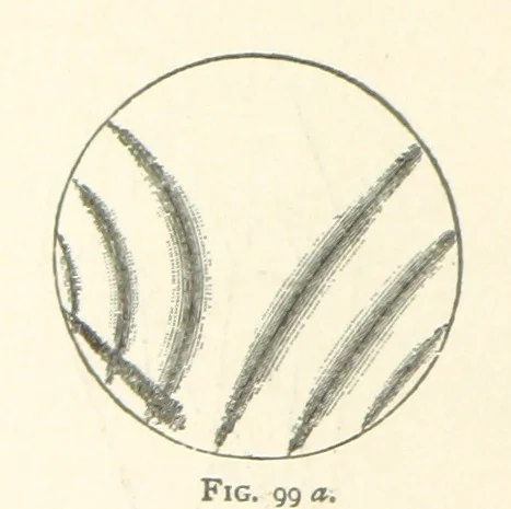 An illustration from The Determination of Rockforming Minerals ... Authorized translation from the first German edition by Erastus G. Smith ... Second edition, 1893, leaf 238