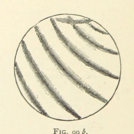 An illustration from The Determination of Rockforming Minerals ... Authorized translation from the first German edition by Erastus G. Smith ... Second edition, 1893, leaf 238