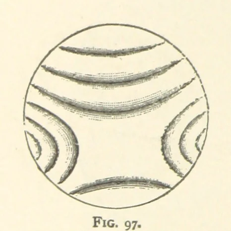 An illustration from The Determination of Rockforming Minerals ... Authorized translation from the first German edition by Erastus G. Smith ... Second edition, 1893, leaf 238