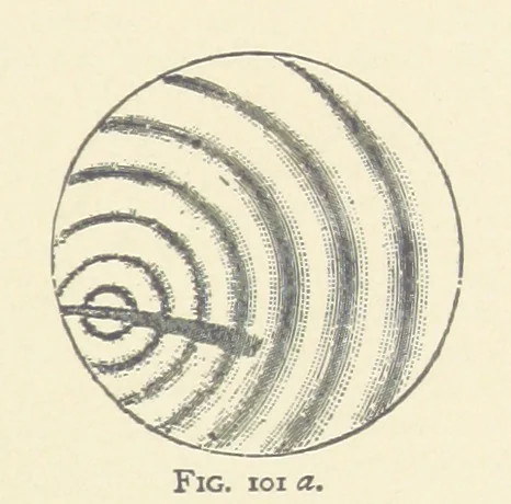 An illustration from The Determination of Rockforming Minerals ... Authorized translation from the first German edition by Erastus G. Smith ... Second edition, 1893, leaf 239