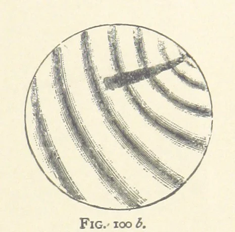 An illustration from The Determination of Rockforming Minerals ... Authorized translation from the first German edition by Erastus G. Smith ... Second edition, 1893, leaf 239