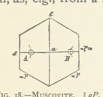 An illustration from The Determination of Rockforming Minerals ... Authorized translation from the first German edition by Erastus G. Smith ... Second edition, 1893, leaf 49