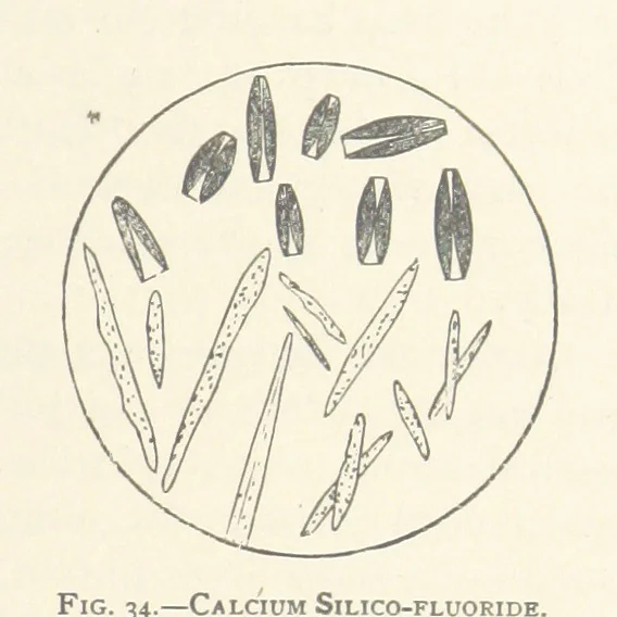 An illustration from The Determination of Rockforming Minerals ... Authorized translation from the first German edition by Erastus G. Smith ... Second edition, 1893, leaf 69