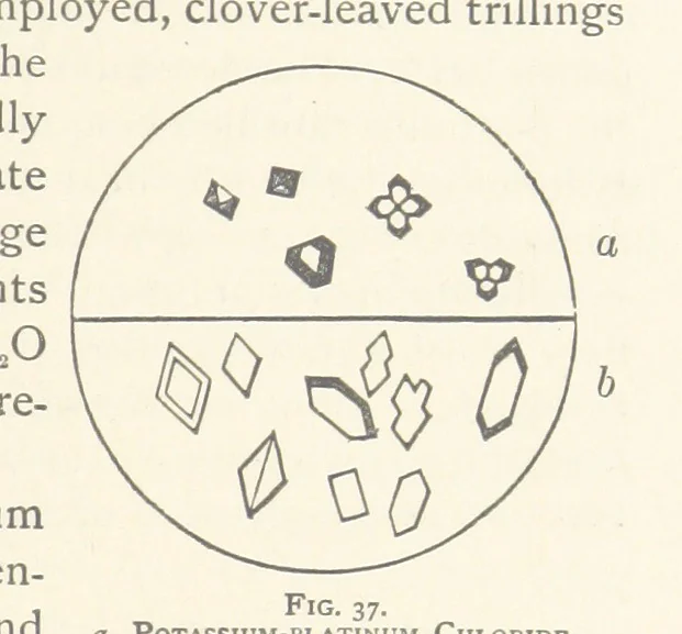 An illustration from The Determination of Rockforming Minerals ... Authorized translation from the first German edition by Erastus G. Smith ... Second edition, 1893, leaf 73