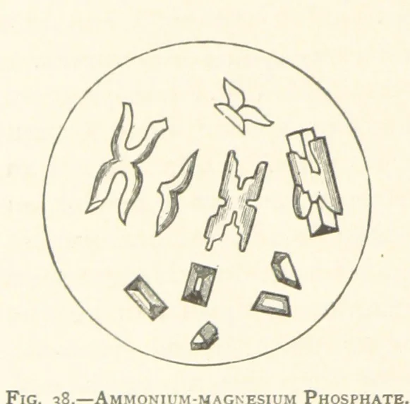 An illustration from The Determination of Rockforming Minerals ... Authorized translation from the first German edition by Erastus G. Smith ... Second edition, 1893, leaf 74