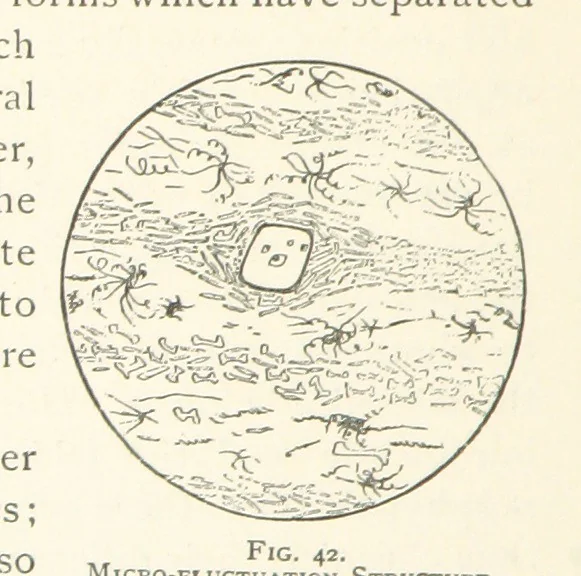 An illustration from The Determination of Rockforming Minerals ... Authorized translation from the first German edition by Erastus G. Smith ... Second edition, 1893, leaf 98