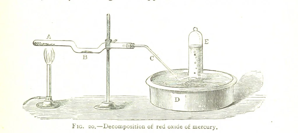 An illustration from Physiography ... New edition, 1884, leaf 113