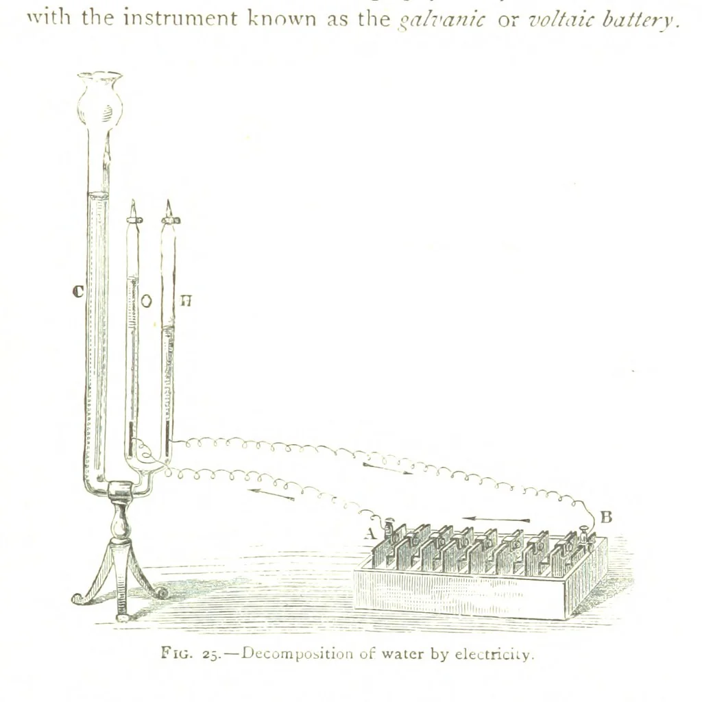 An illustration from Physiography ... New edition, 1884, leaf 137