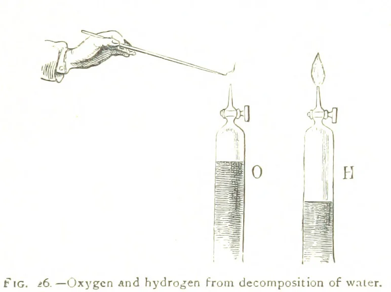 An illustration from Physiography ... New edition, 1884, leaf 139
