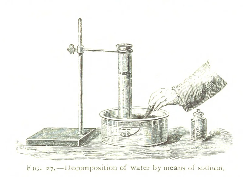 An illustration from Physiography ... New edition, 1884, leaf 143