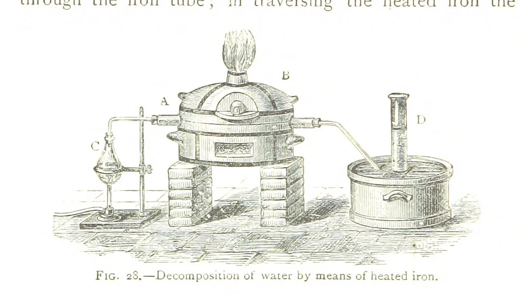 An illustration from Physiography ... New edition, 1884, leaf 144