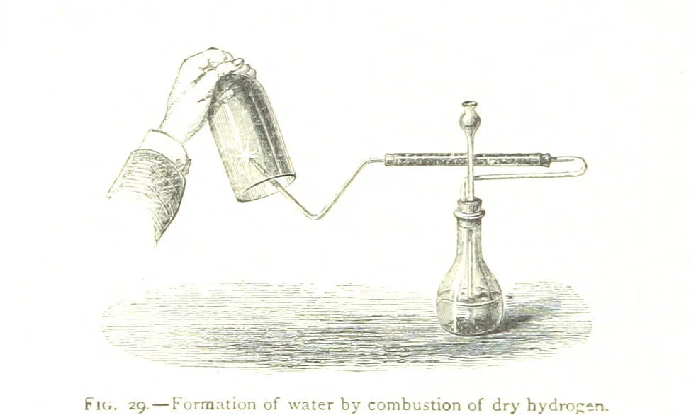 An illustration from Physiography ... New edition, 1884, leaf 148