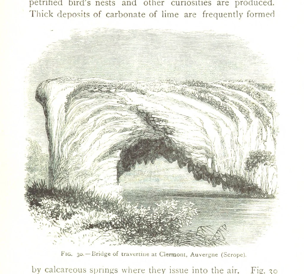 An illustration from Physiography ... New edition, 1884, leaf 157