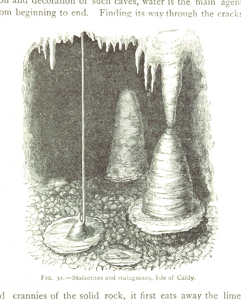 An illustration from Physiography ... New edition, 1884, leaf 159