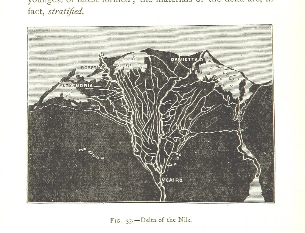 An illustration from Physiography ... New edition, 1884, leaf 180
