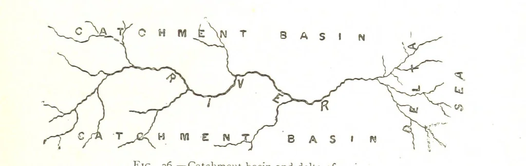 An illustration from Physiography ... New edition, 1884, leaf 181
