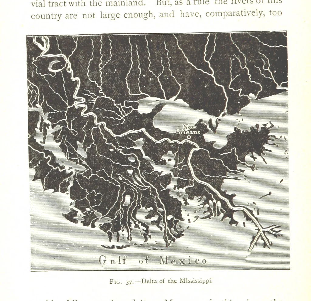 An illustration from Physiography ... New edition, 1884, leaf 182