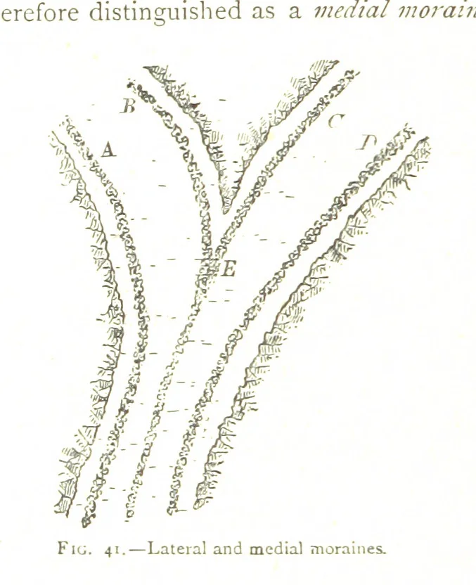 An illustration from Physiography ... New edition, 1884, leaf 196