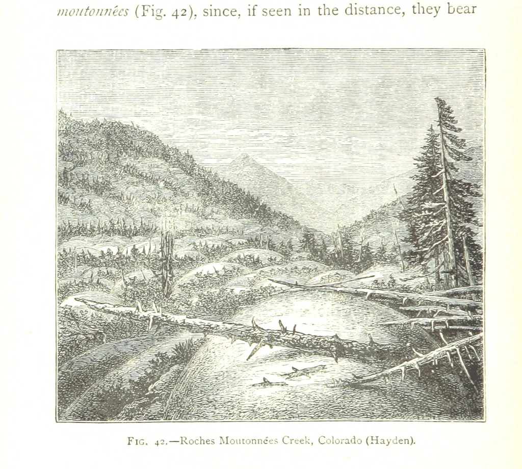 An illustration from Physiography ... New edition, 1884, leaf 198