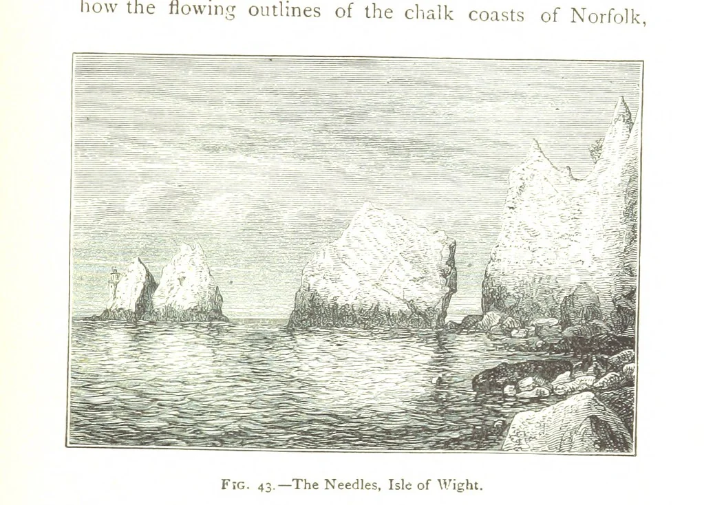 An illustration from Physiography ... New edition, 1884, leaf 205