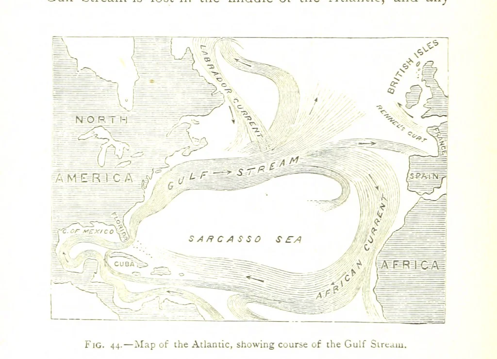 An illustration from Physiography ... New edition, 1884, leaf 210
