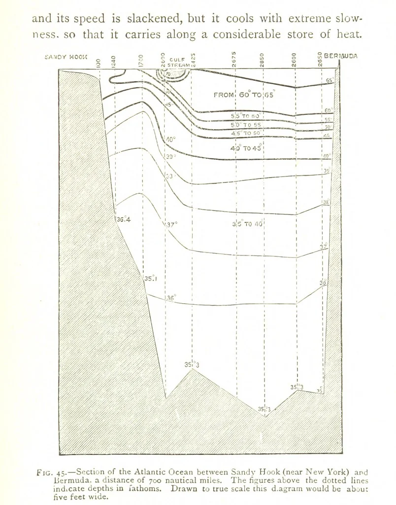 An illustration from Physiography ... New edition, 1884, leaf 211