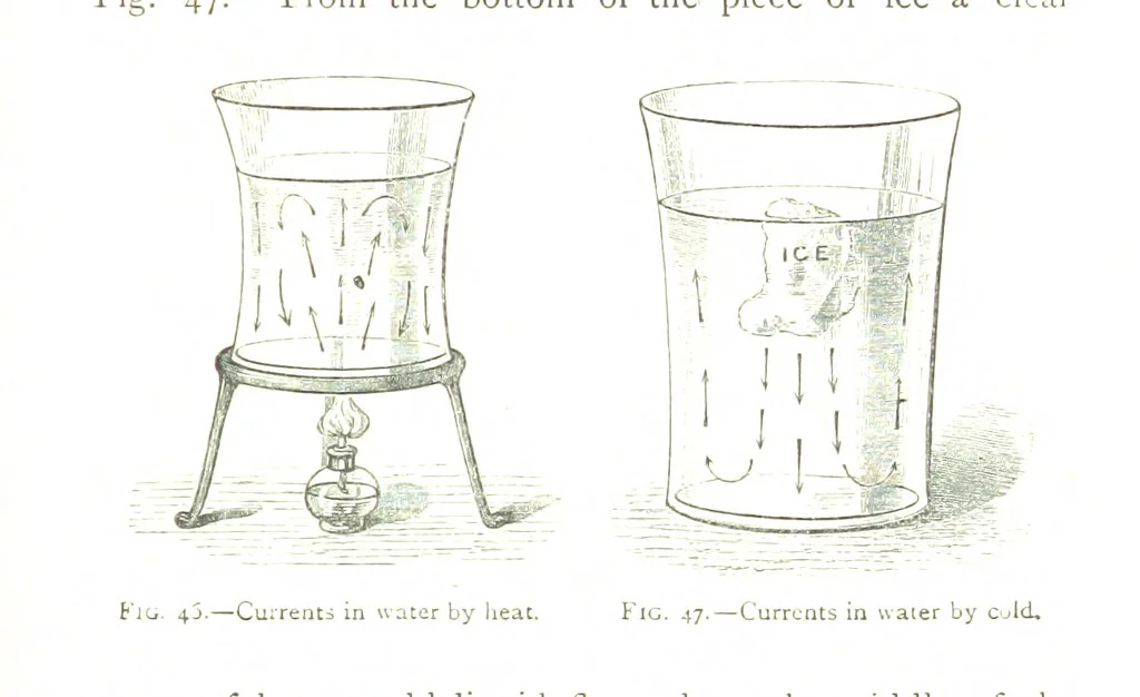 An illustration from Physiography ... New edition, 1884, leaf 213