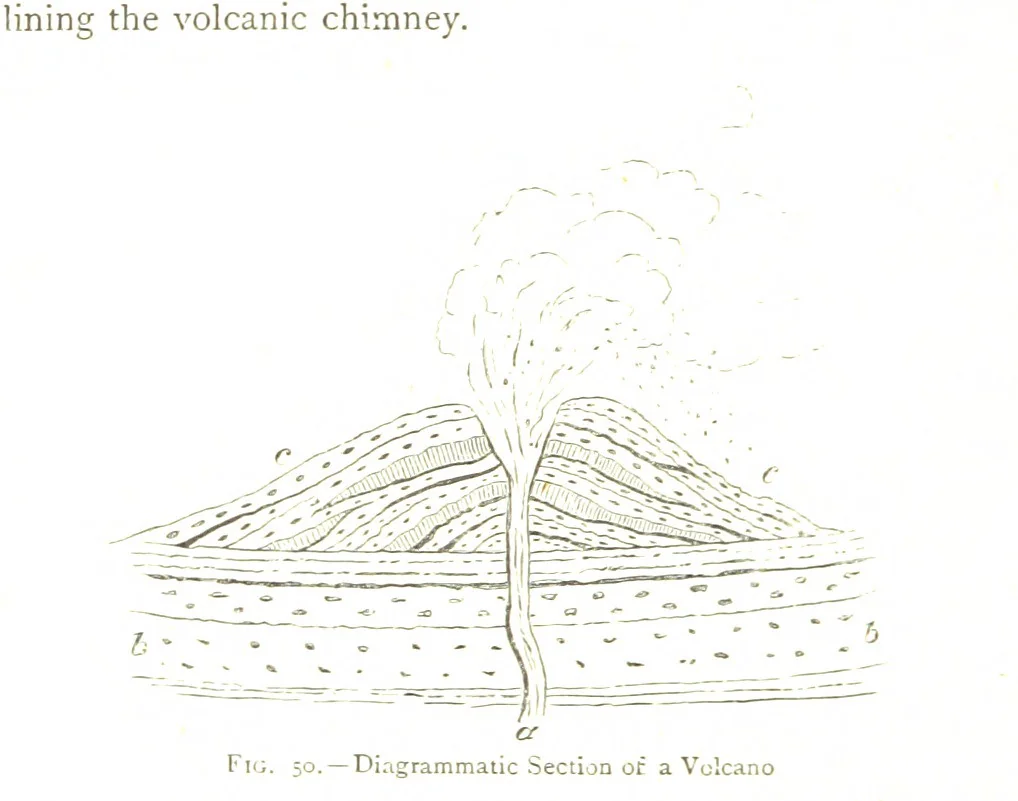 An illustration from Physiography ... New edition, 1884, leaf 226
