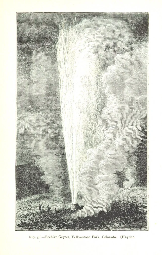 An illustration from Physiography ... New edition, 1884, leaf 237