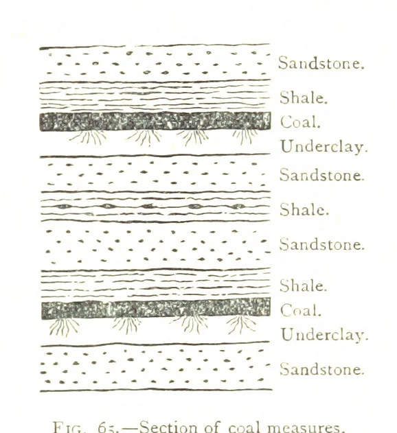 An illustration from Physiography ... New edition, 1884, leaf 271