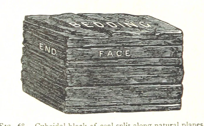 An illustration from Physiography ... New edition, 1884, leaf 274