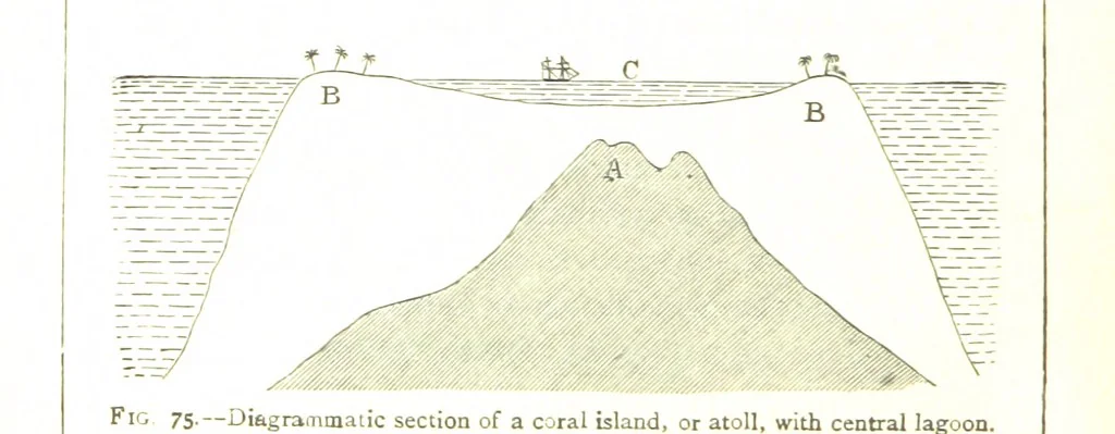An illustration from Physiography ... New edition, 1884, leaf 294