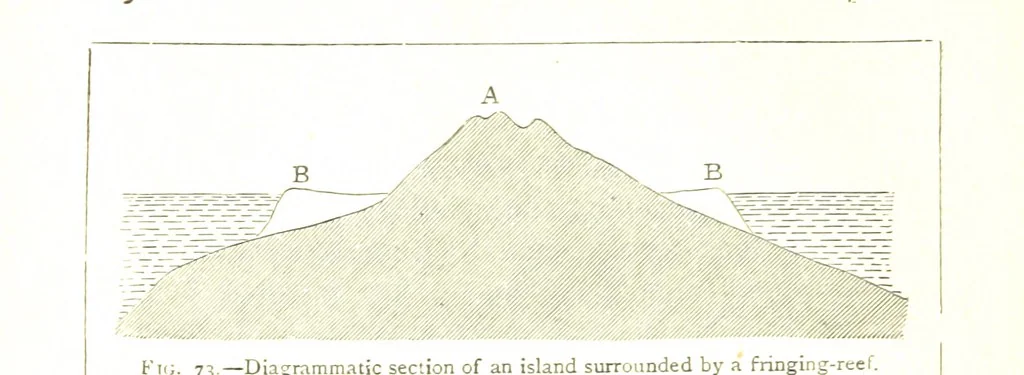 An illustration from Physiography ... New edition, 1884, leaf 294