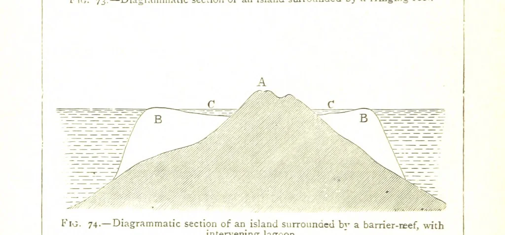An illustration from Physiography ... New edition, 1884, leaf 294