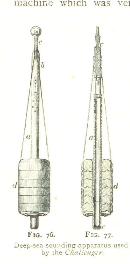 An illustration from Physiography ... New edition, 1884, leaf 298