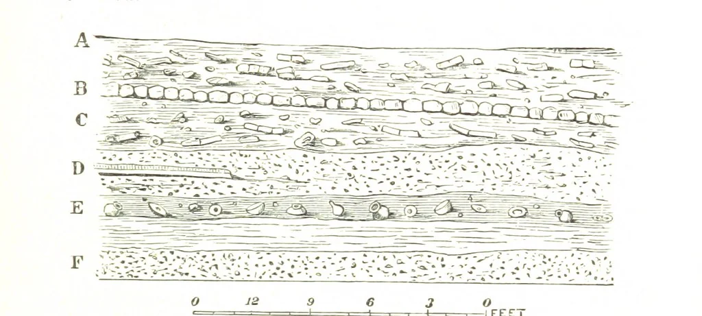 An illustration from Physiography ... New edition, 1884, leaf 311