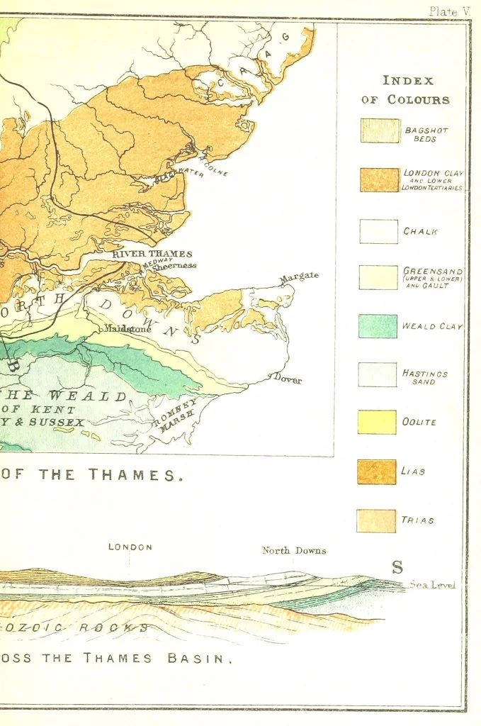An illustration from Physiography ... New edition, 1884, leaf 327