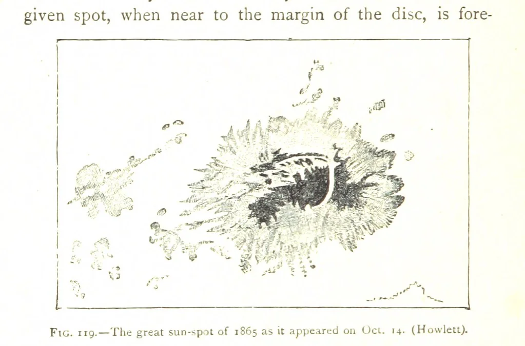 An illustration from Physiography ... New edition, 1884, leaf 404